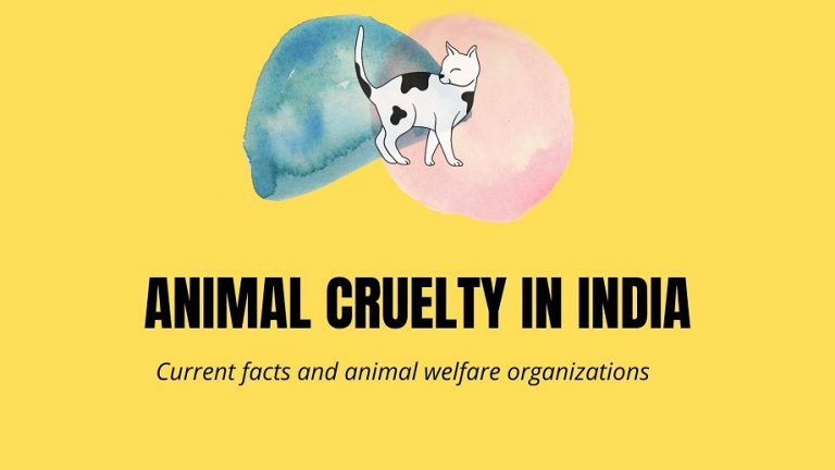 Animal Cruelty in India: Definition, Facts, Types, and Organizations