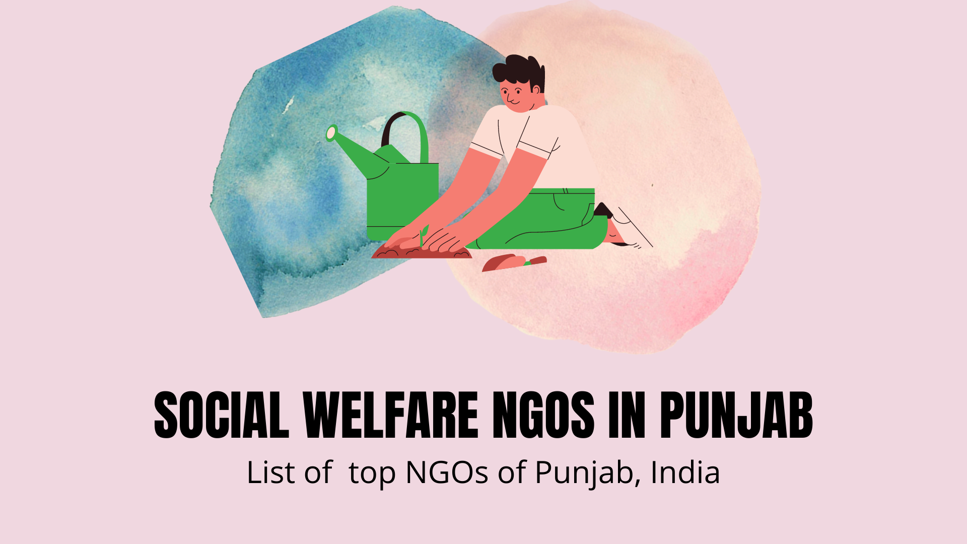 Ngo in Punjab