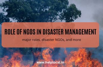 role of ngo in disaster management