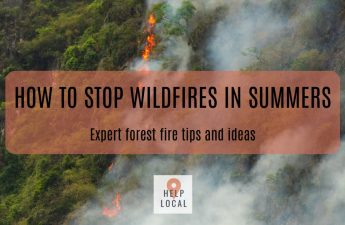 Stop wildfire in summer