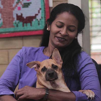 Dog NGOs & Shelters